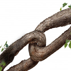Partnership: definition and rulings