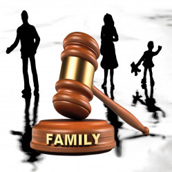 Rulings applicable to custody